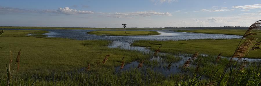 Back Bay - Avalon New Jersey Photograph by Joe Walmsley - Fine Art America