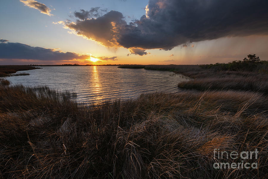 Sunset Photograph - Back Bay, Virginia Sunset  by Michael Ver Sprill