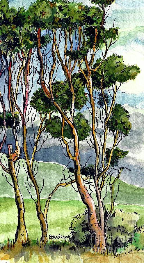 Back Country Eucalyptus Painting by Terry Banderas