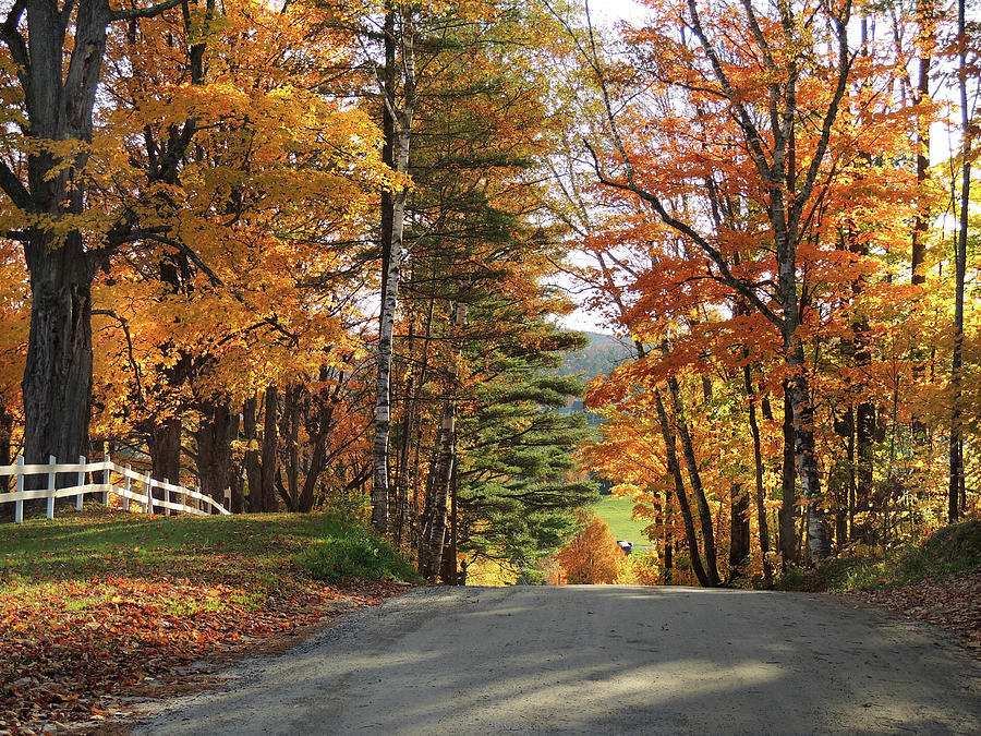 Back Road in Peacham Vermont Photograph by Nancy Griswold