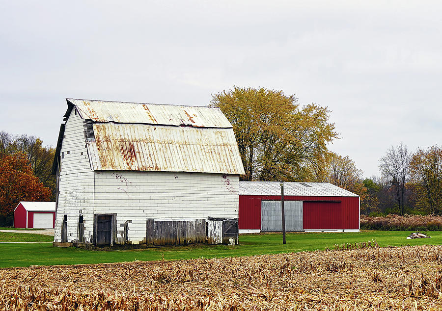 Back Roads Old Barn In Indiana Photograph by Rick Rosenshein