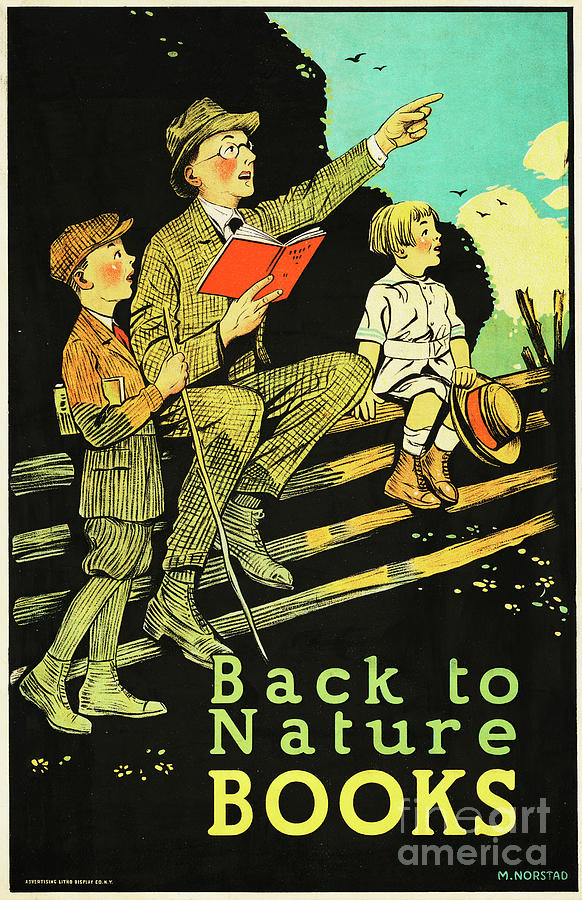 book advertisement poster