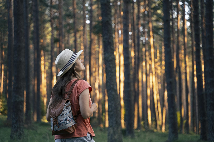 Back to Nature. Solo traveler walking in the woods. A Happy Young Woman Tourist Walking in the Nature. Enjoyment Outdoors in the Forests on a Sunny Day. Photograph by Daniel Balakov