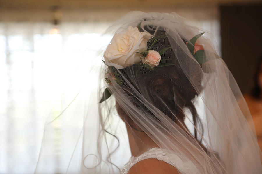Back view of brides hair updo with flowers and veil Photograph by Holly Harris