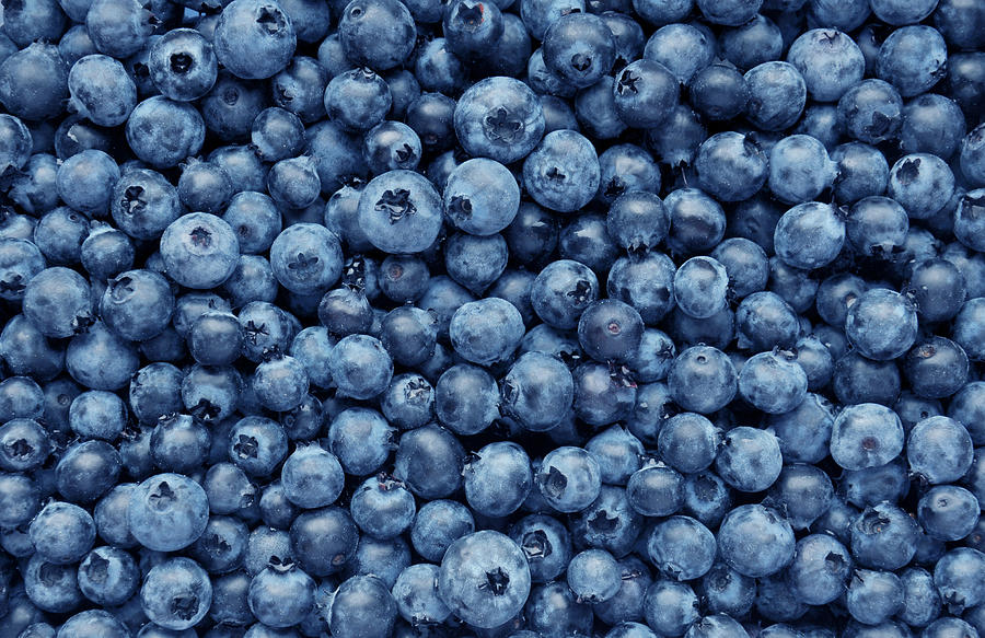 Background from freshly picked blueberries Photograph by JulARTe