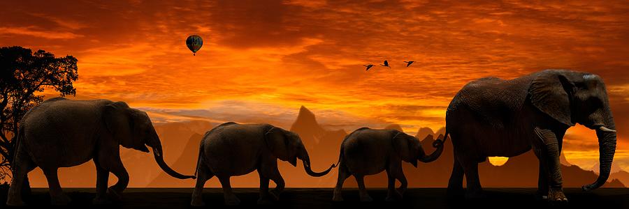 Background Panorama Sunset Abendstimmung Animals Painting by Unknown
