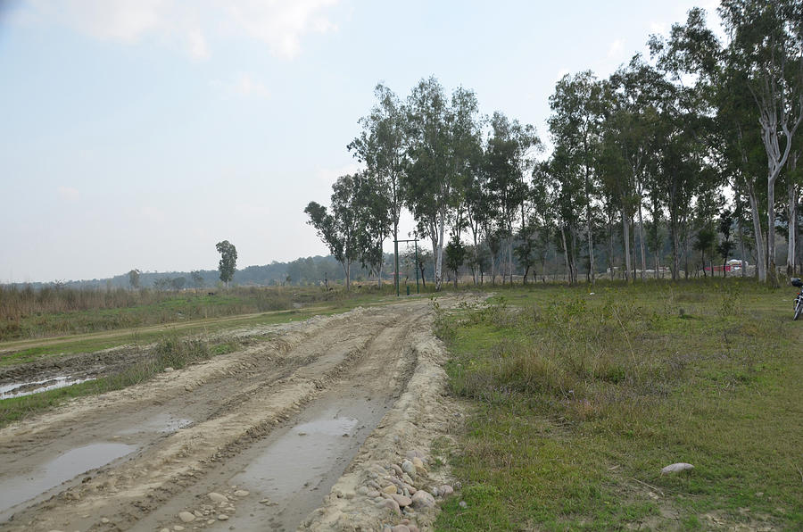 Background View of Ground of Kaloor Himachal Pradesh India 3 Photograph by  Rakesh Kumar - Pixels