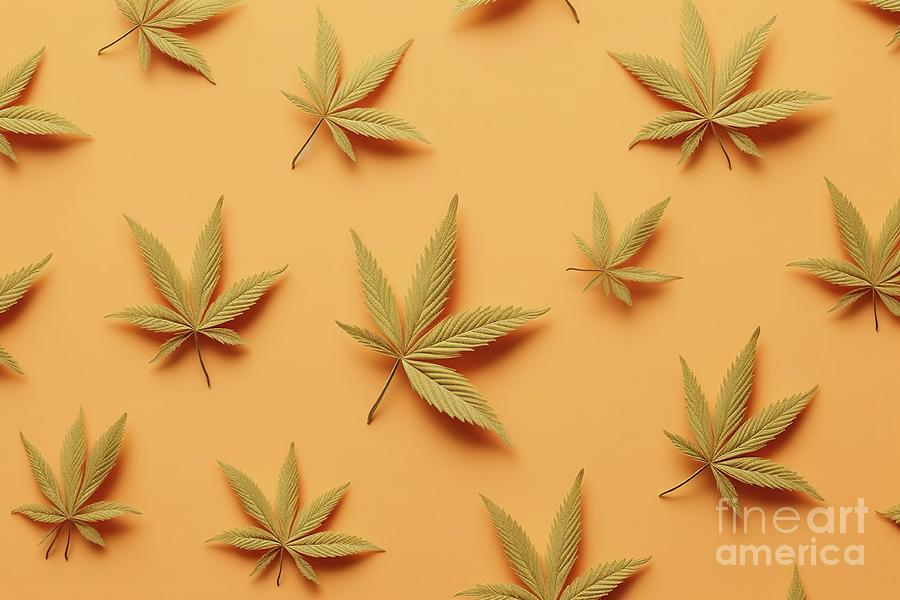 Background with pattern of images of marijuana leaves. Photograph by Joaquin Corbalan