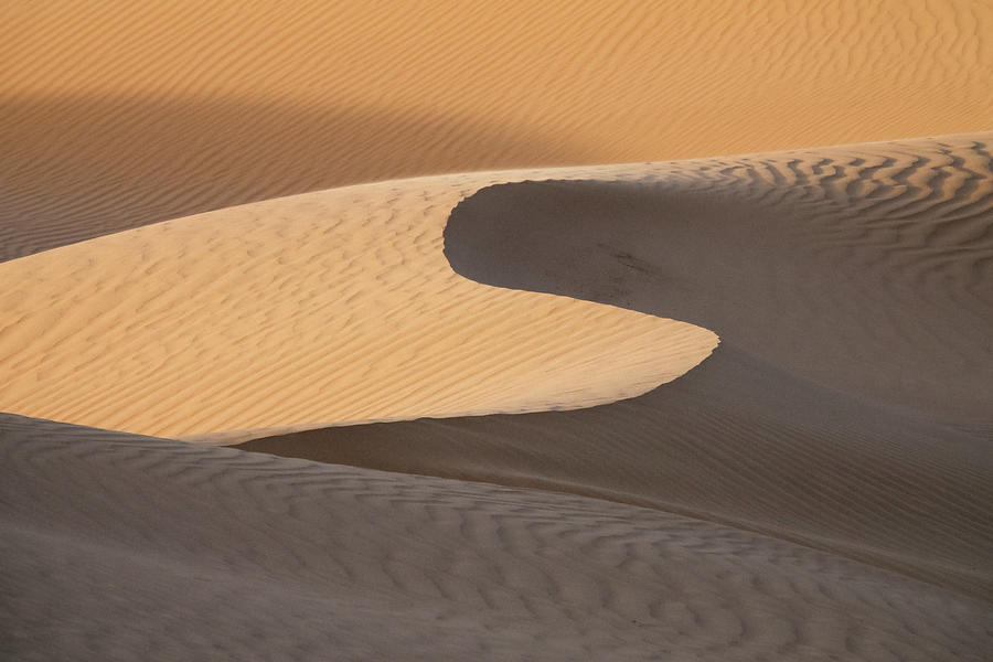 Background with sandy dunes in desert Photograph by Mikhail Kokhanchikov