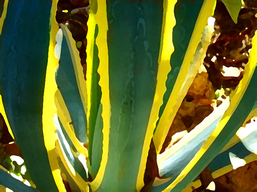 Backlit Agave Americana 2 Painting by Amy Vangsgard