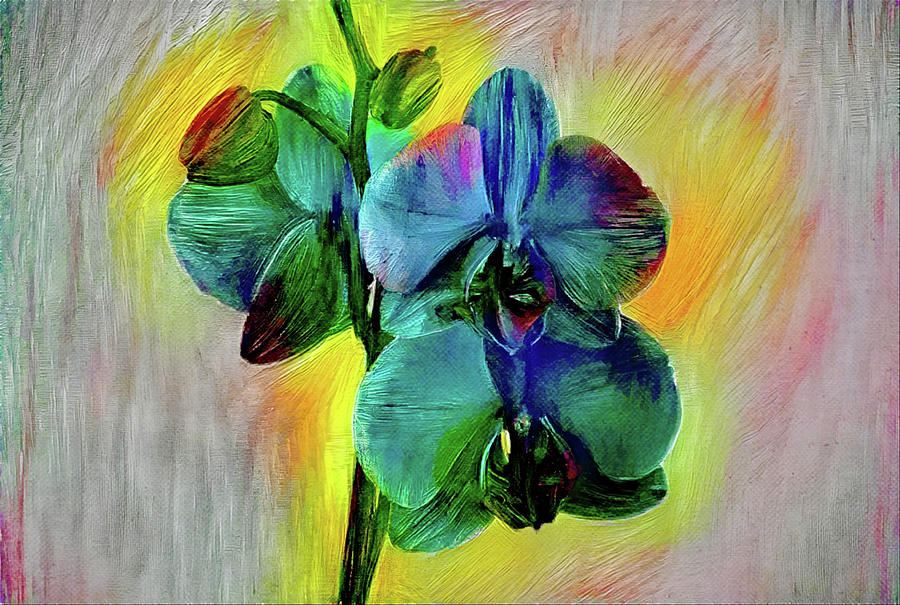 Backlit Artsy Orchid Flowers Digital Art by Gaby Ethington