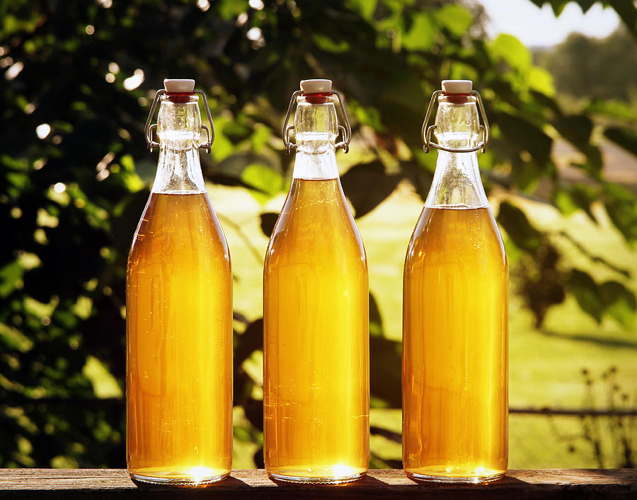 Backlit Bottles of Mead Photograph by Alissa Sanderson
