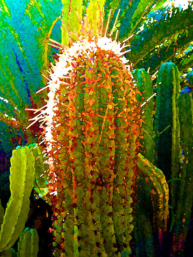 Backlit Cactus Painting by Amy Vangsgard