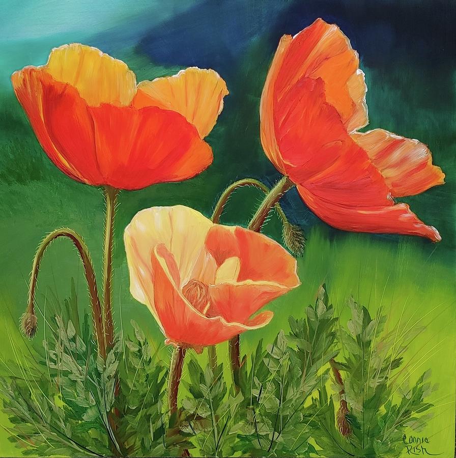 Backlit Poppies Painting by Connie Rish