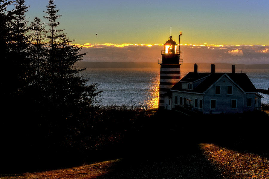 Backlit Sunrise at West Quoddy Head Lighthouse Lubec Maine Photograph by Marty Saccone