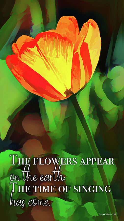 Flowers Appear on the Earth Digital Art by Barry Wills