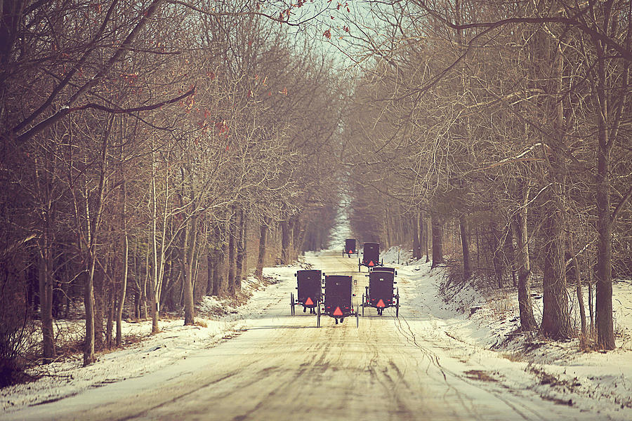 Winter Photograph - Backroad Buggies by Carrie Ann Grippo-Pike