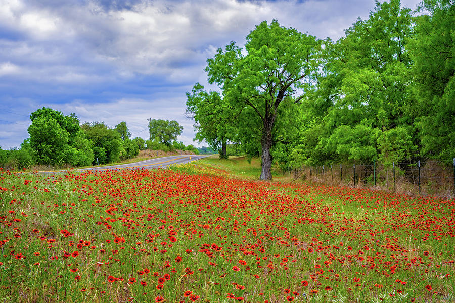 Backroad Charm Photograph by Lynn Bauer