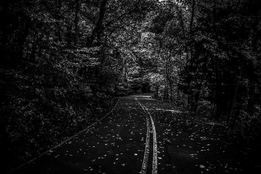 Backroads Black/White Photograph by Toby Horton - Pixels