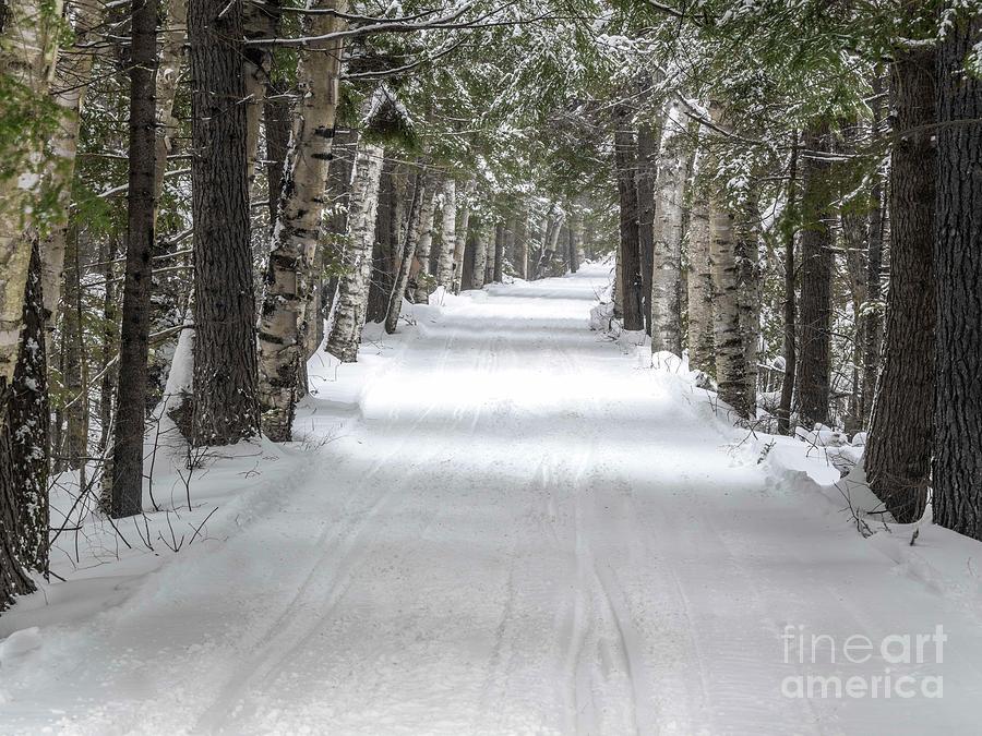Backwoods Snow Road Photograph by Craig Shaknis