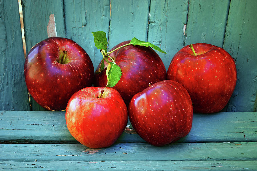 Backyard Apples No 1 Photograph by Nikolyn McDonald