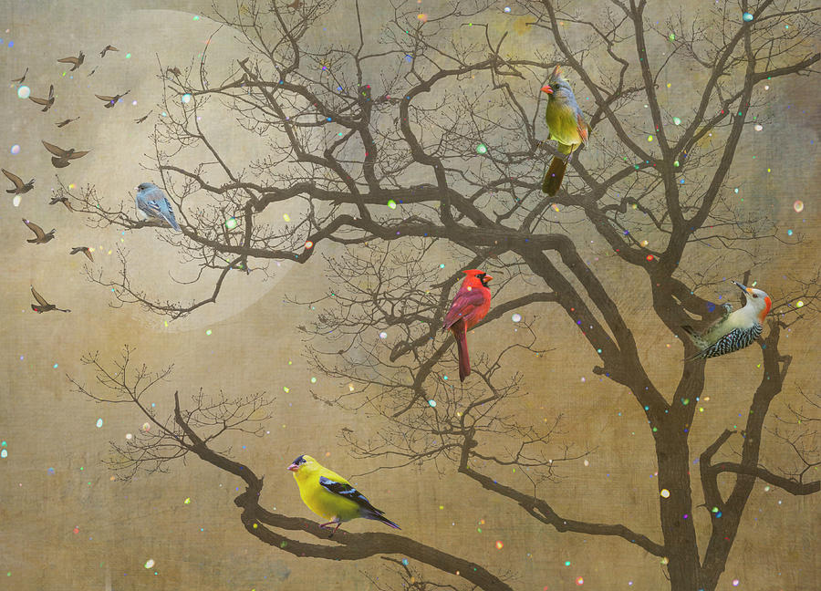 Backyard Birds Running A Muck Digital Art by Cindy Lark Hartman