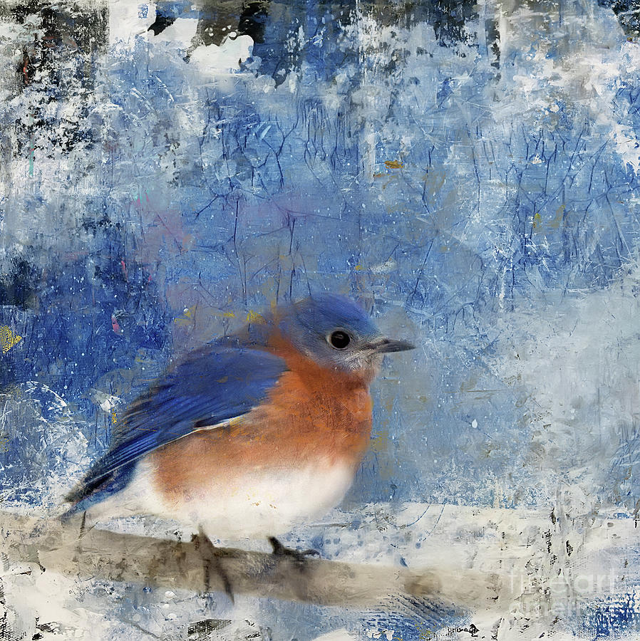 Backyard Bluebird Art Mixed Media by Ed Taylor