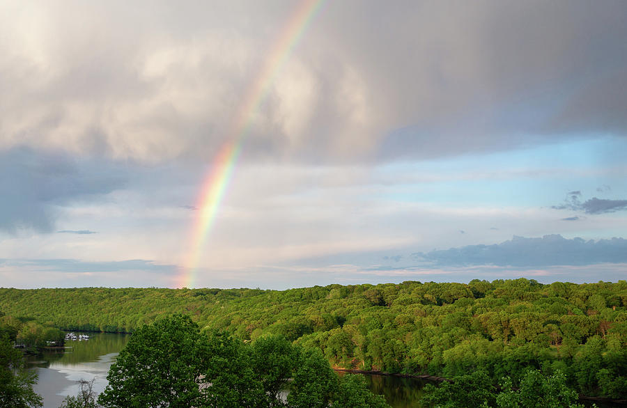 Backyard Rainbow Photograph by Karol Livote