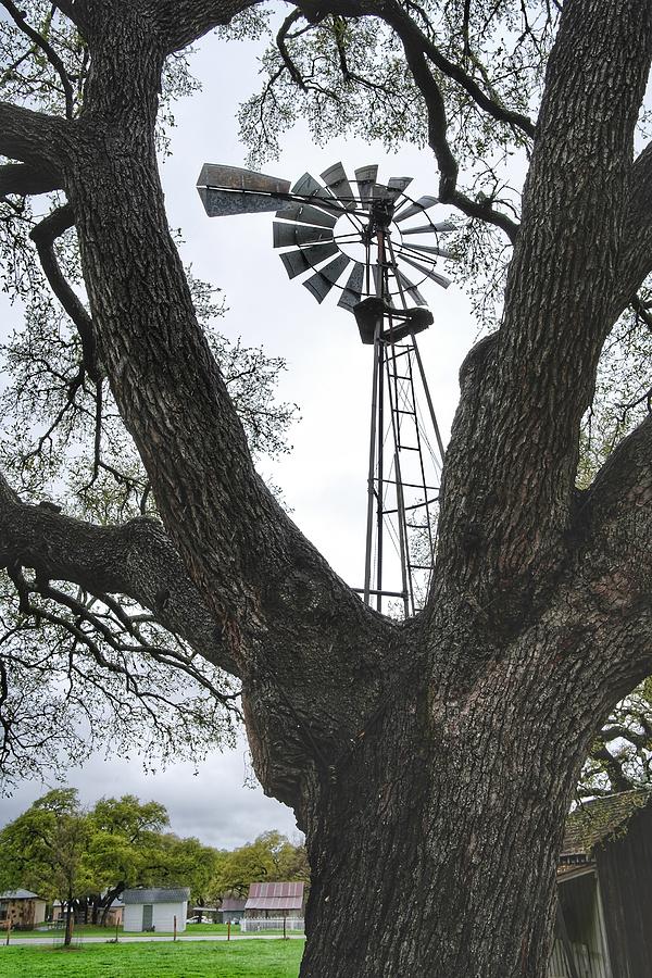 Backyard Windmill  Photograph by Buck Buchanan