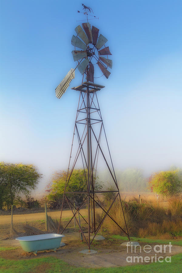 Backyard Windmill Photograph by Elaine Teague