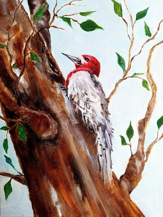 Backyard Woodpecker Painting by Roseanne Schellenberger