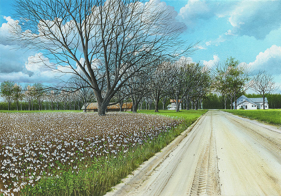 Nature Painting - Bacon County Cotton Farm by Mike Brown