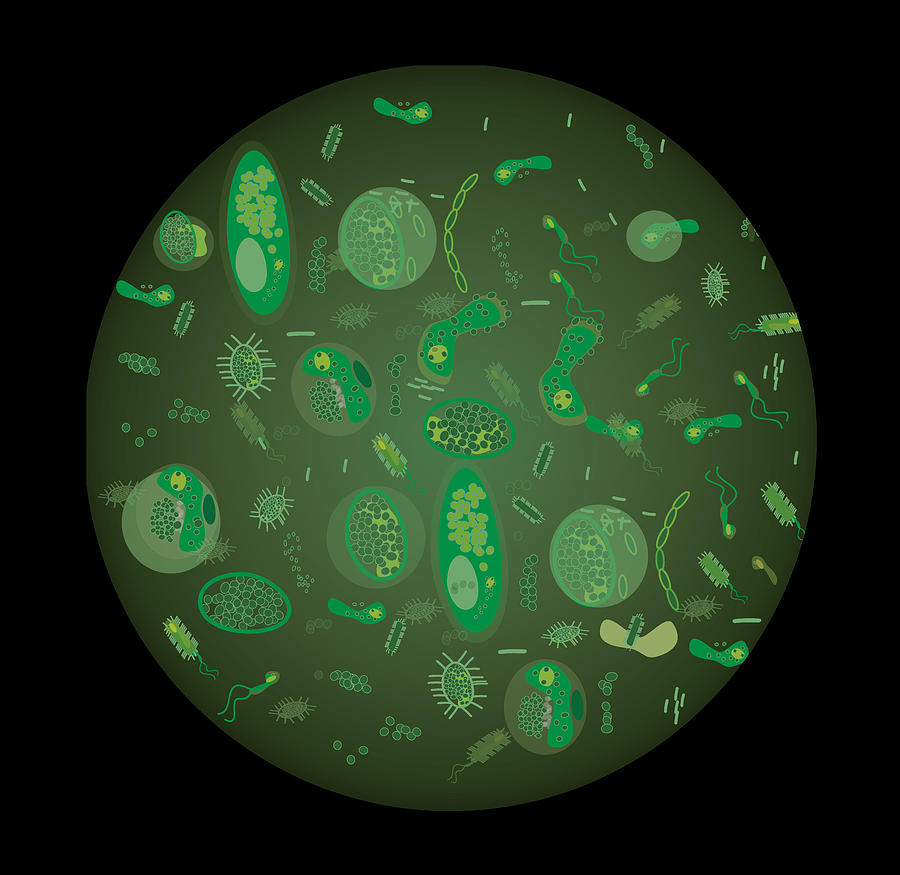 Bacteria and virus seamless pattern inversion Photograph by Lozanona