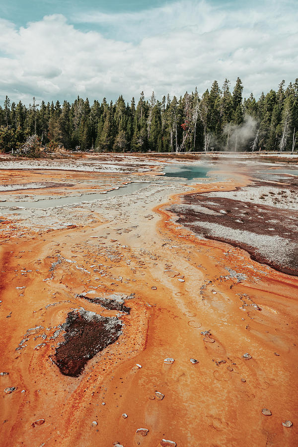 Yellowstone National Park Photograph - Bacteria Basin by Bella B Photography