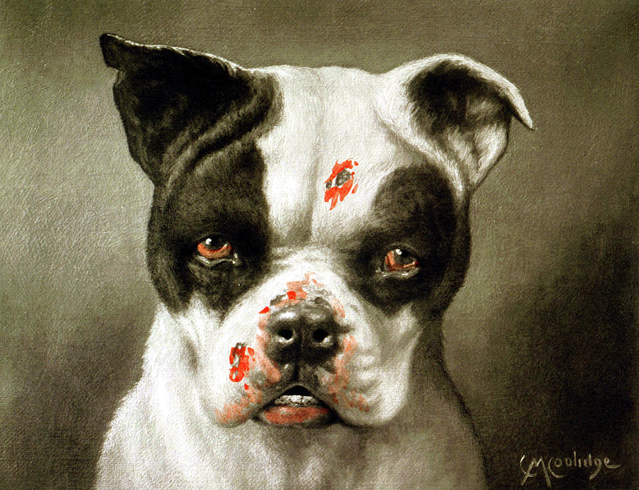 Bad Dog Painting
