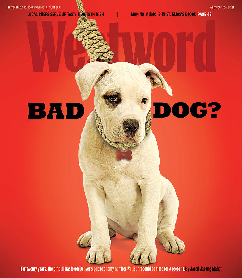 Bad Dog? Digital Art by Westword