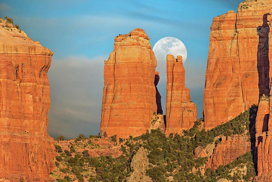 Bad Moon Rising Photograph by Guy Schmickle - Fine Art America