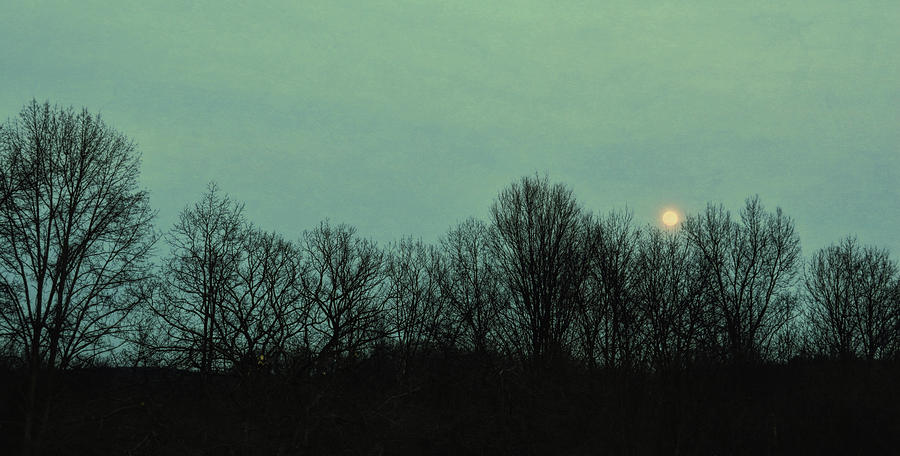 Sunset Photograph - Bad Moon Rising by Jamart Photography