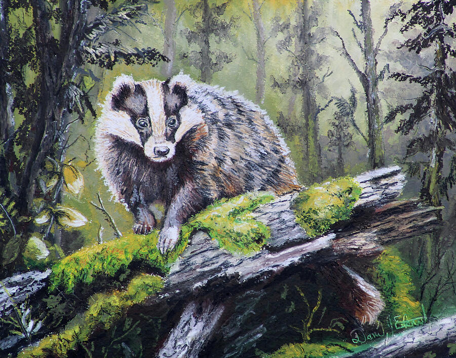 Badger Pastel