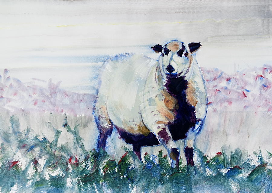 Badger face Welsh Mountain Sheep Painting Painting by Mike Jory