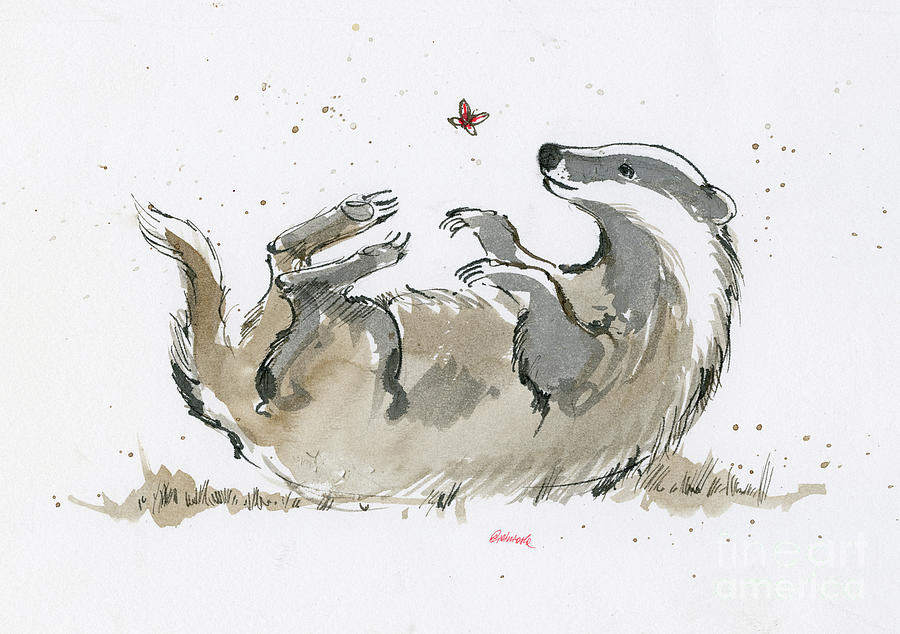 Badger playing with butterfly Drawing by Ang El