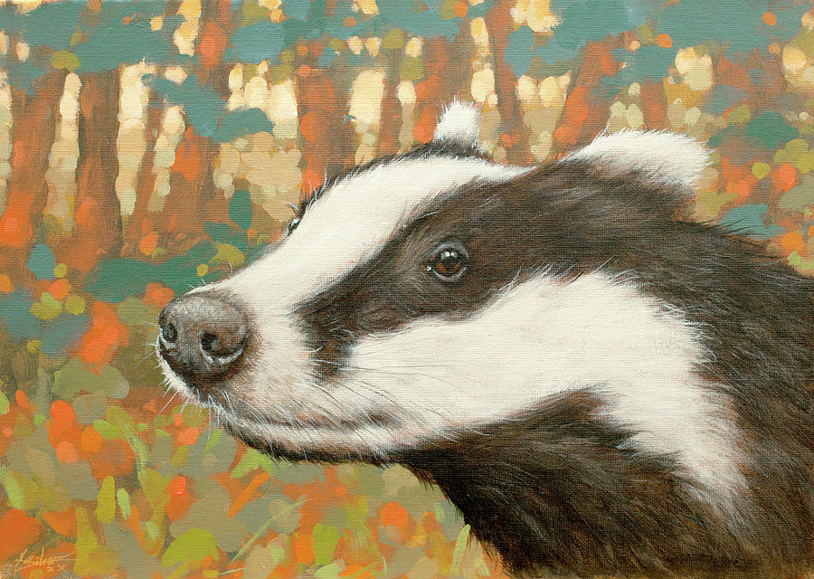 Badger portrait W723 Painting by John Silver