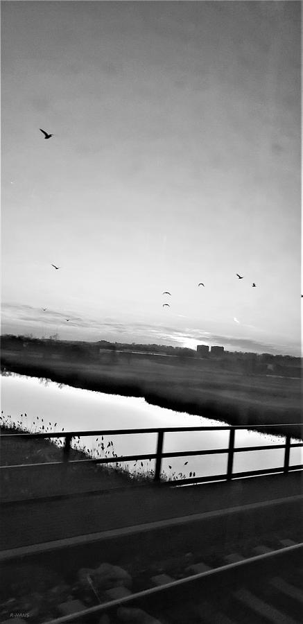 Badland Meadowlands New Jersey B W Photograph by Rob Hans