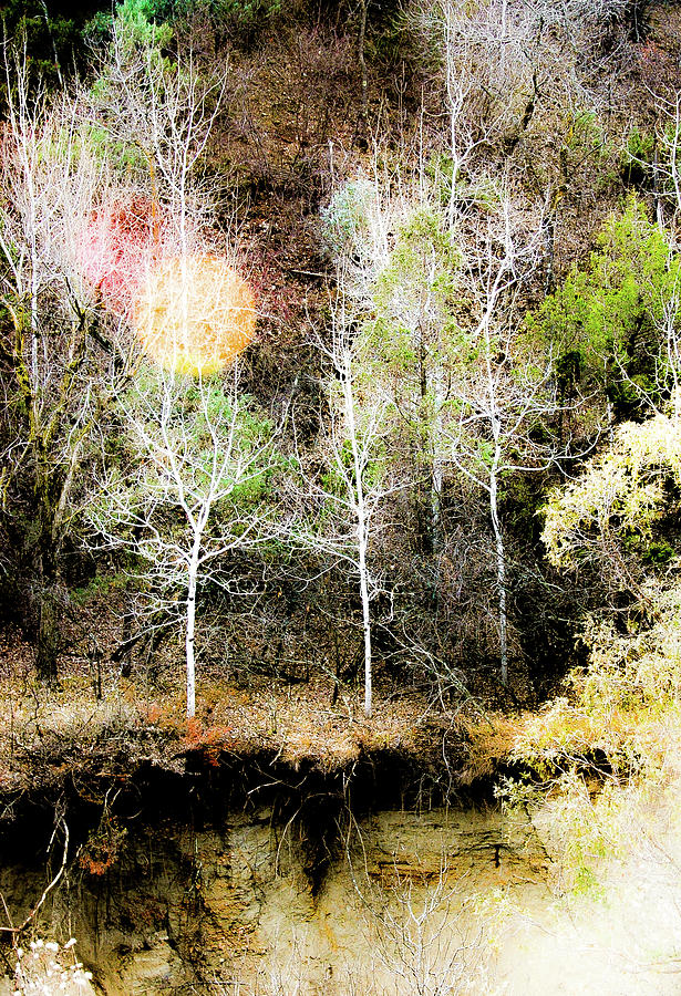 Badlands Aspen Dream Photograph by Mary Tastad Badlands Aspen Dream Photograph by Mary Tastad
