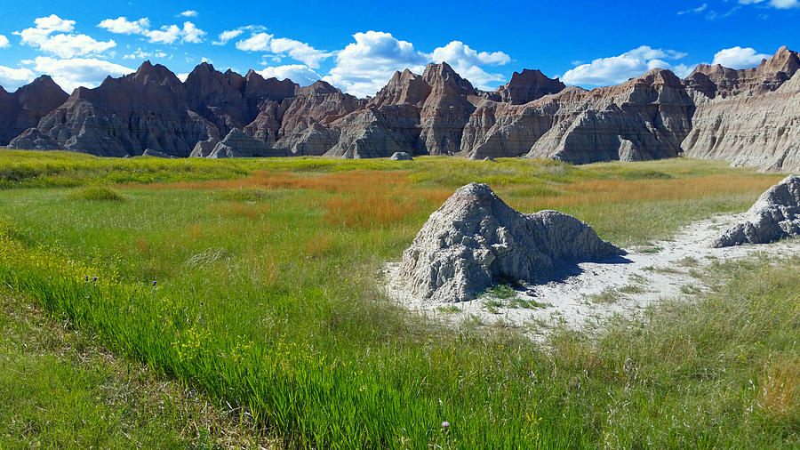 Badlands In June  Photograph by Ally White