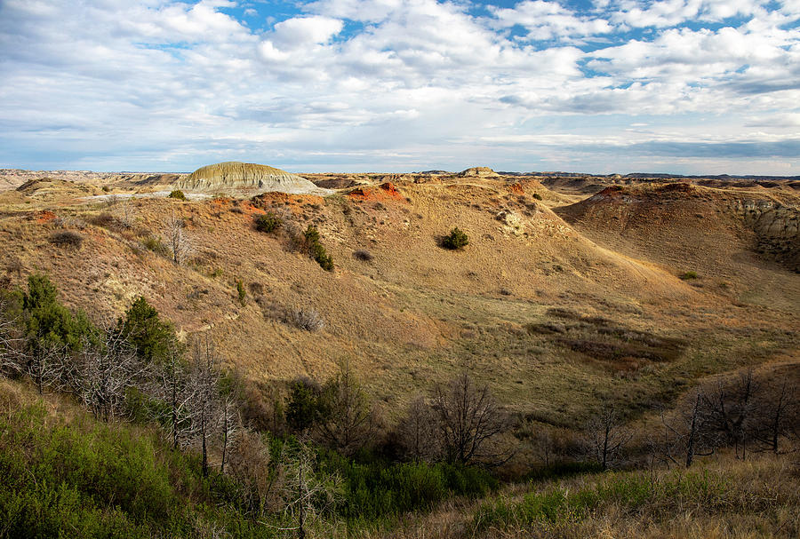 Badlands Of North Dakota Landscape Photograph by Dan Sproul