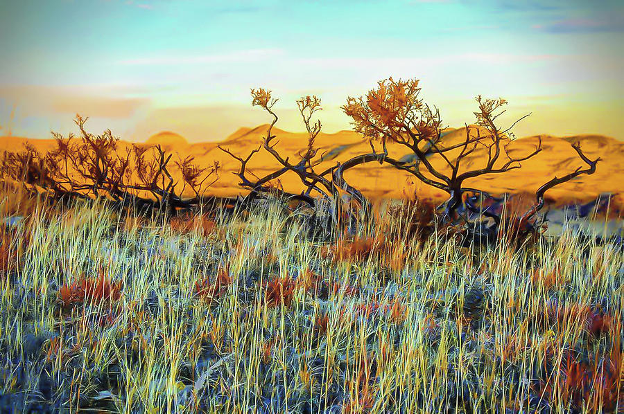 Badlands Winter Kaleidoscope Photograph by Mary Tastad Badlands Winter Kaleidoscope Photograph by Mary Tastad