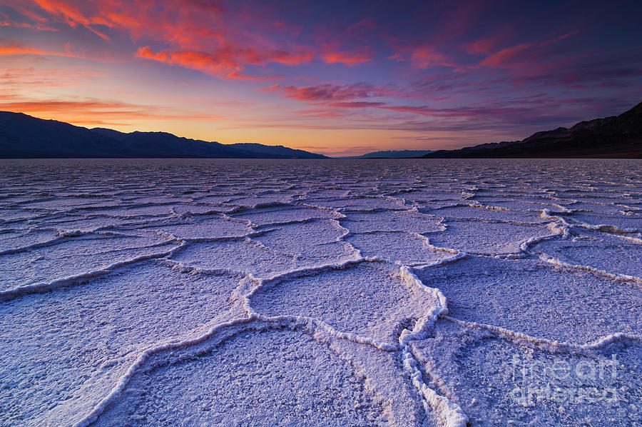 Badwater Basin Death Valley National Park, California, USA  Photograph by Neale And Judith Clark