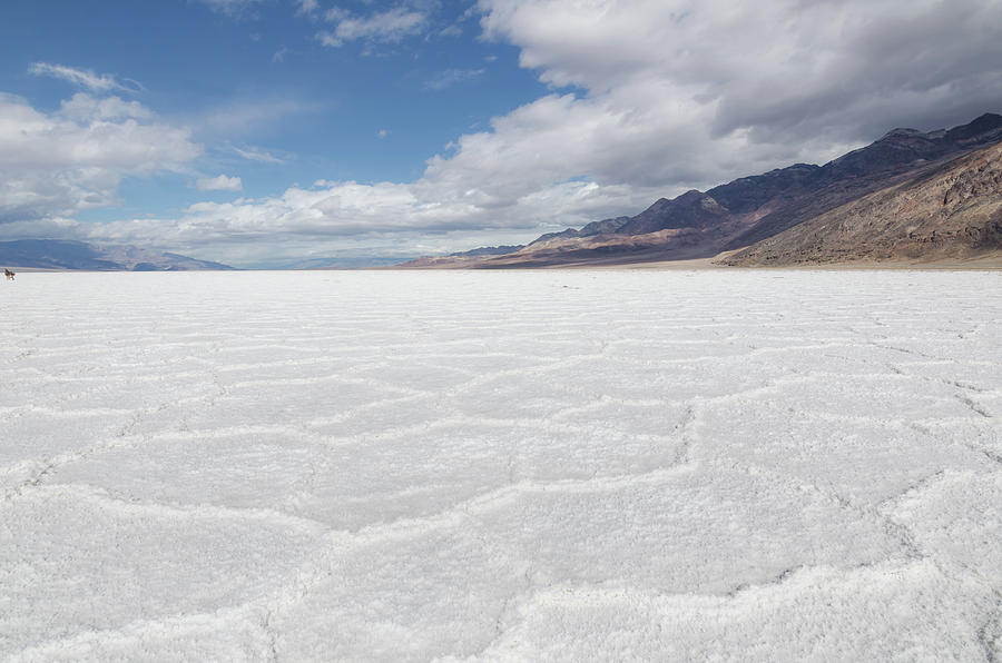 Badwater Basin No.1 Photograph by Margaret Pitcher
