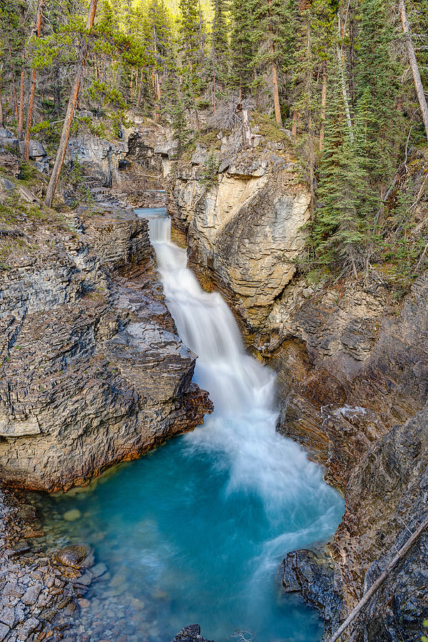 Baeuty Creek Falls Photograph by Aiisha5